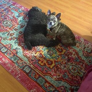 Meet your Posher, Gladys